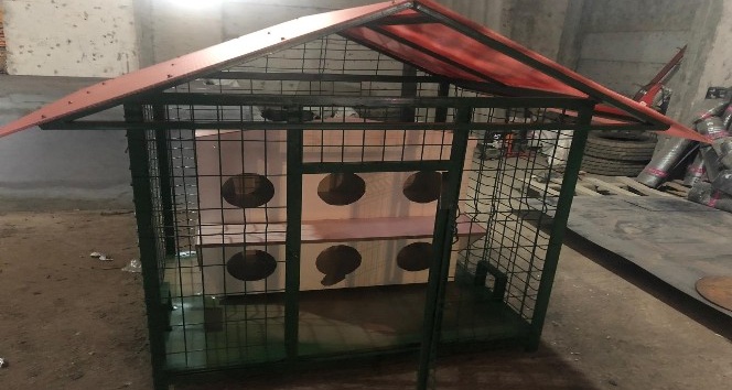 Silopi’de sokak kedileri için barınak yapıldı