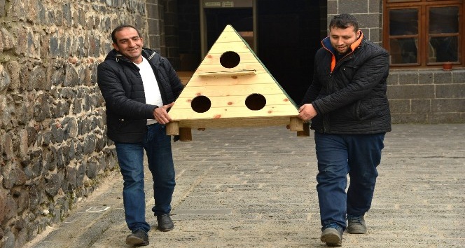 Diyarbakır’da kedi evi projesi devam ediyor