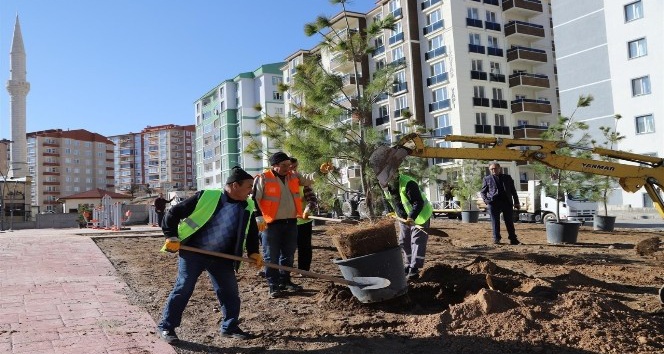Cevher Dudayev Mahallesinde ağaçlandırma çalışmaları sürüyor