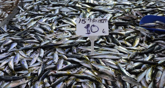 Balıklar azalıyor, esnaf satış yapamıyor