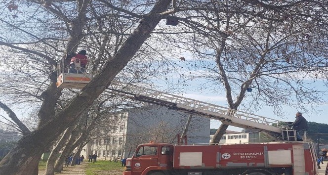 Öğrenciler Kuşları "ev"lendirdi - Bursa