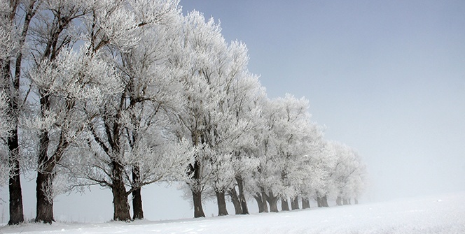 Erzurum’da kartpostallık kırağı manzaraları