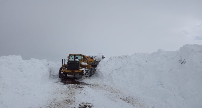 Bingöl’de kar nedeniyle kapanan 243 köy yolu  açıldı