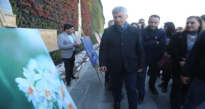 Cizre’de 2. Geleneksel Nergis Festivali başladı