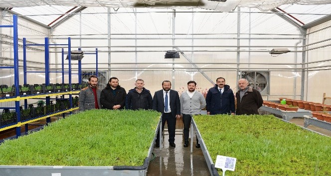 KMÜ, çevre düzenlemesi için kendi bitkisini üretiyor