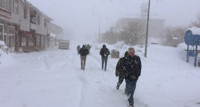 Bingöl’ün 2 ilçesinde okullara kar tatili