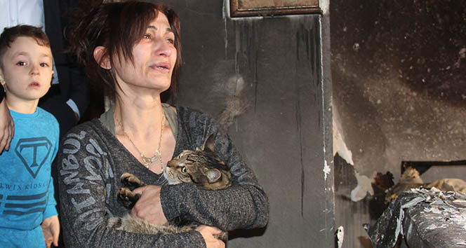Efe' kedi patisiyle sahibini yanmaktan kurtard ile ilgili gÃ¶rsel sonucu