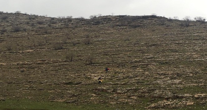 Kayalıklardan düşen genç çoban yaralandı