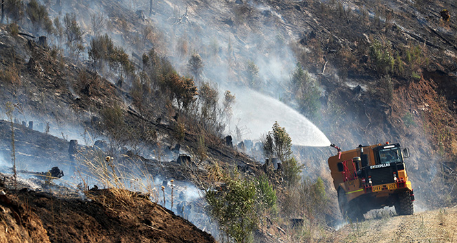 Avustralya’da orman yangını: 9 ev yıkıldı
