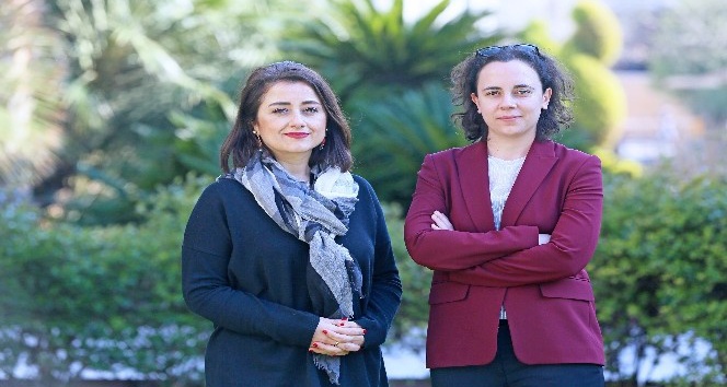 Dijital feminizm araştırması