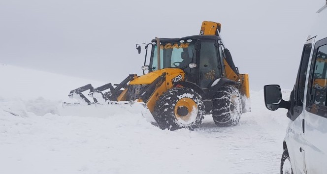 Bingöl’de kar ve tipi  75 köy yolunu kapattı
