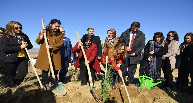 Kadınlar için fidan diktiler