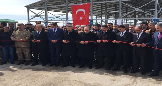 Sanayi ve Teknoloji Bakanı Varank, Canlı Hayvan Pazarı’nın açılışını gerçekleştirdi