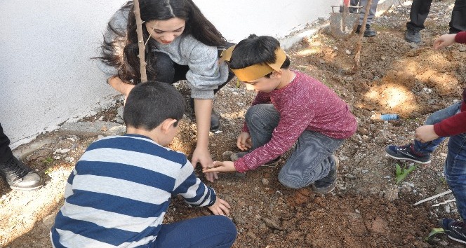 Siirt’te anaokulu öğrencileri Dicle Elektrik bahçesine fidan dikti