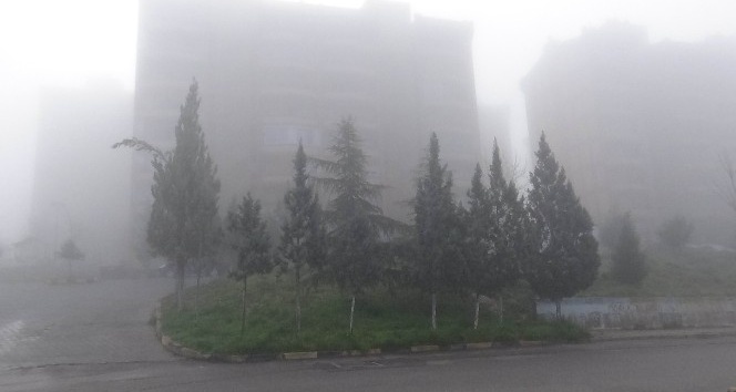 Kilis’te yoğun sis etkili oldu