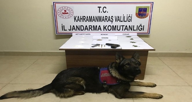 Kahramanmaraş’ta uyuşturucu operasyonu: 21 gözaltı