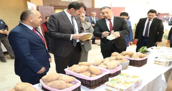 Sivas’ta patatesin üretimi ve sorunları anlatıldı