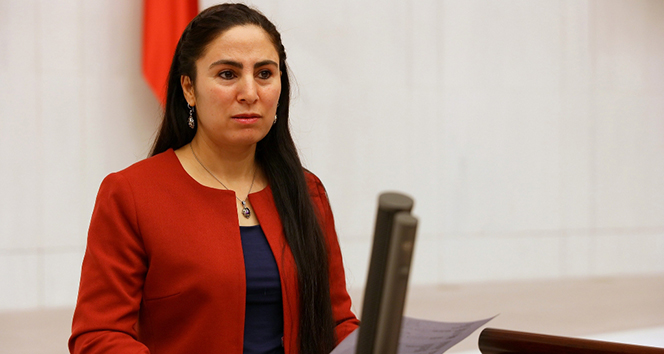 HDP’li Ayşe Sürücü’ye 1 yıl 8 ay hapis cezası