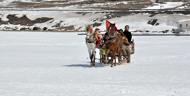 Kars’ta 40 santim buz tutan göl üzerinde atlı kızak keyfi