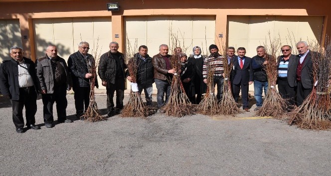 Gümüşhane’de çiftçilere meyve fidanı dağıtımı yapıldı