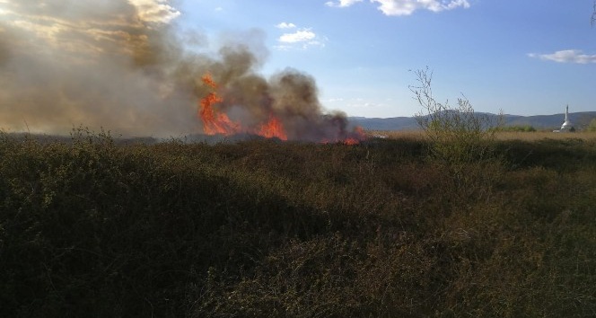 İznik Gölü kıyısında sazlık yangını