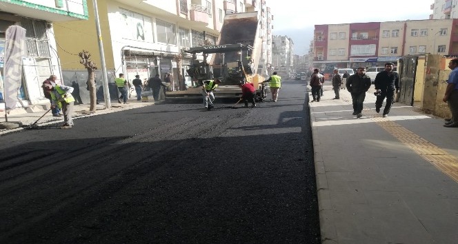 Bismil’de sıcak asfalt çalışmalarına başlandı