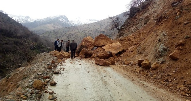 Dev kaylar grup köy yolunu ulaşıma kapattı