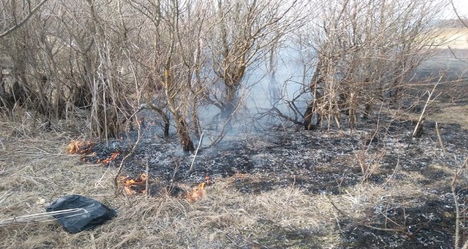 Daday’da sazlıkta çıkan yangın söndürüldü