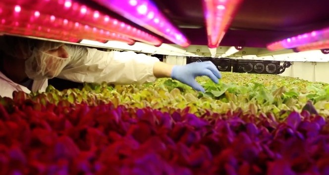 Başkan Yavaş, 100’ün üzerindeki projeyi Başkentlilerle buluşturacak