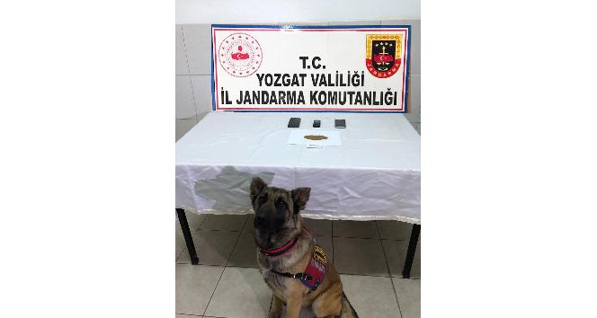 Jandarma’dan esrar operasyonu: 4 şüpheli gözaltına alındı