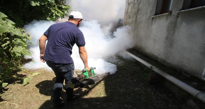 Akyazı Belediyesi ilaçlama çalışmalarına devam ediyor