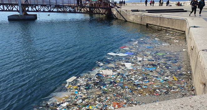 Bandırma&#039;da deniz kirliliği
