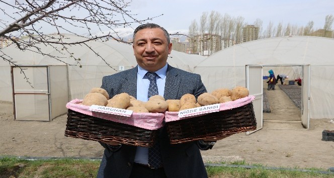 Türkiye’ye 2 milli patates çeşidi daha tescillendi