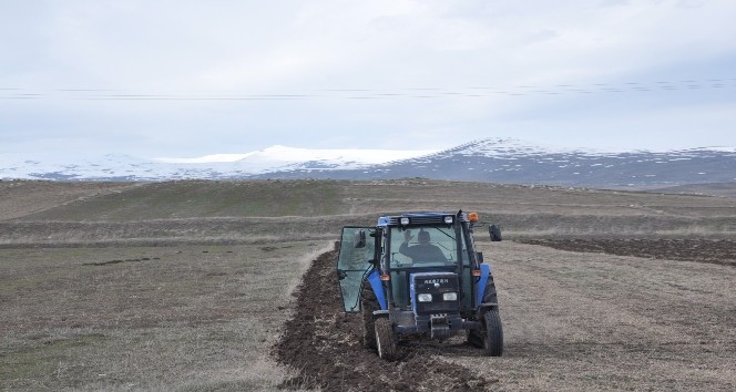 Kars’ta çiftçilerin tarla sürümü başladı