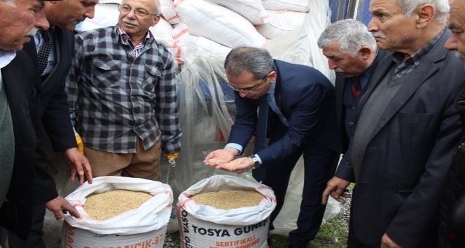 Tosya’da çiftçilere 24 ton çeltik tohumu dağıtıldı