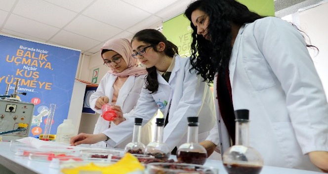 Kırmızı bitkilerden zararsız biyoplastik ürettiler