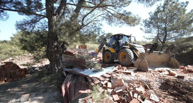 İzmir’de orman işgaline geçit yok