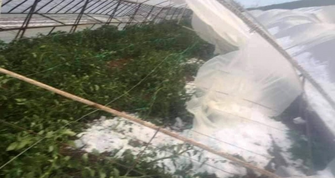 Antalya’da çiftçiyi dolu vurdu