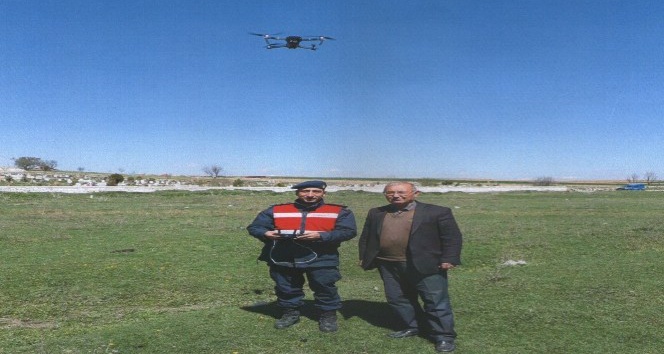 Kaybolan büyükbaş hayvanlar drone ile bulundu