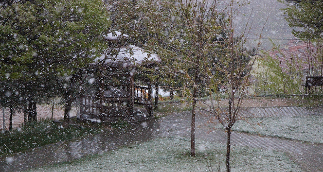 Amasya’ya lapa lapa kar yağdı