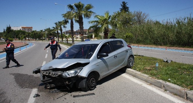 Palmiye ağacına çarpan otomobilin sürücüsü yaralandı