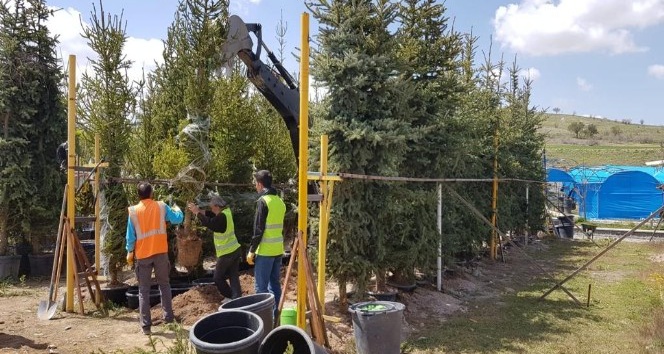 Nevşehir’deki 110 bin kişi için 110 bin ağaç dikilecek