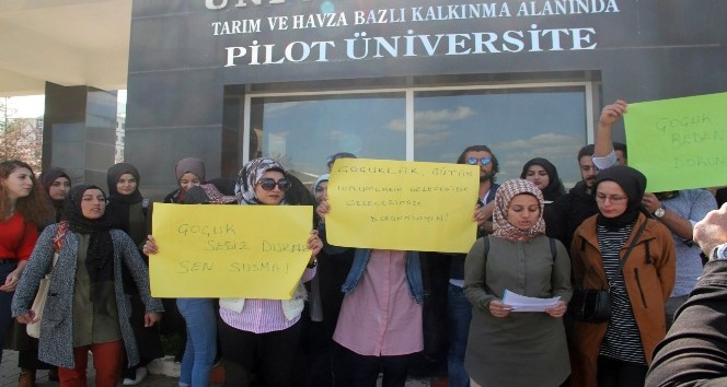 İstanbul’daki cinsel saldırıya Bingöl’den tepki