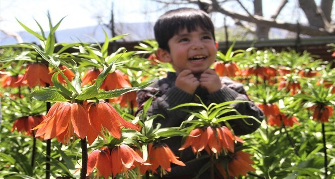 ‘Ağlayan Gelin’in görsel şöleni