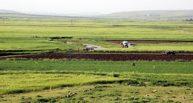 Serinlemek için girdiği derede boğuldu