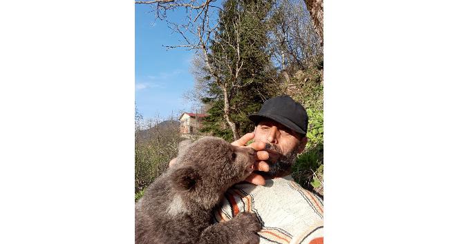 Sevimli ayı ‘Yogi’ Milli Parklar Trabzon Şube Müdürlüğü ekipleri tarafından teslim alındı