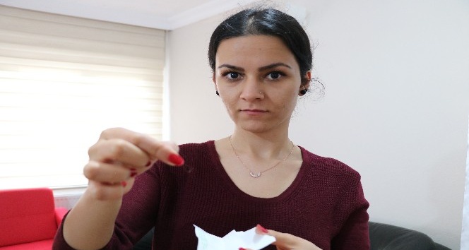 Anestezi ile gelen köpek ölümü yargıya taşındı