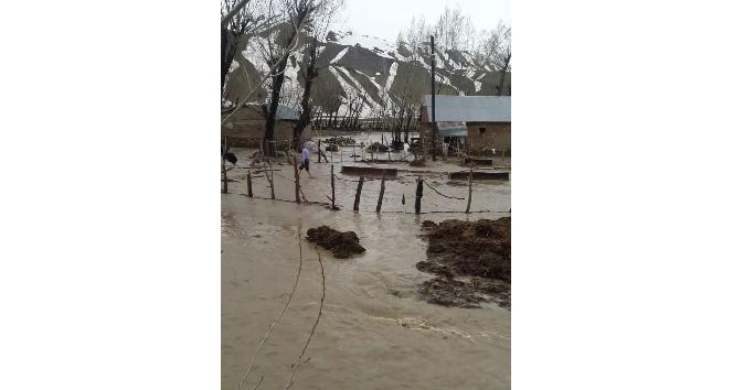 Yüksekova’da dere taştı, evleri su bastı