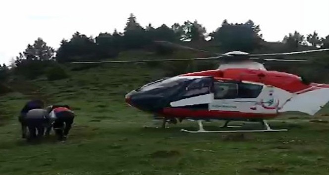 Mantardan zehirlendi ambulans helikopterle hastaneye kaldırıldı