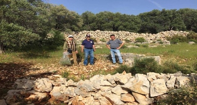 Kaş’ta flora ve fauna araştırması